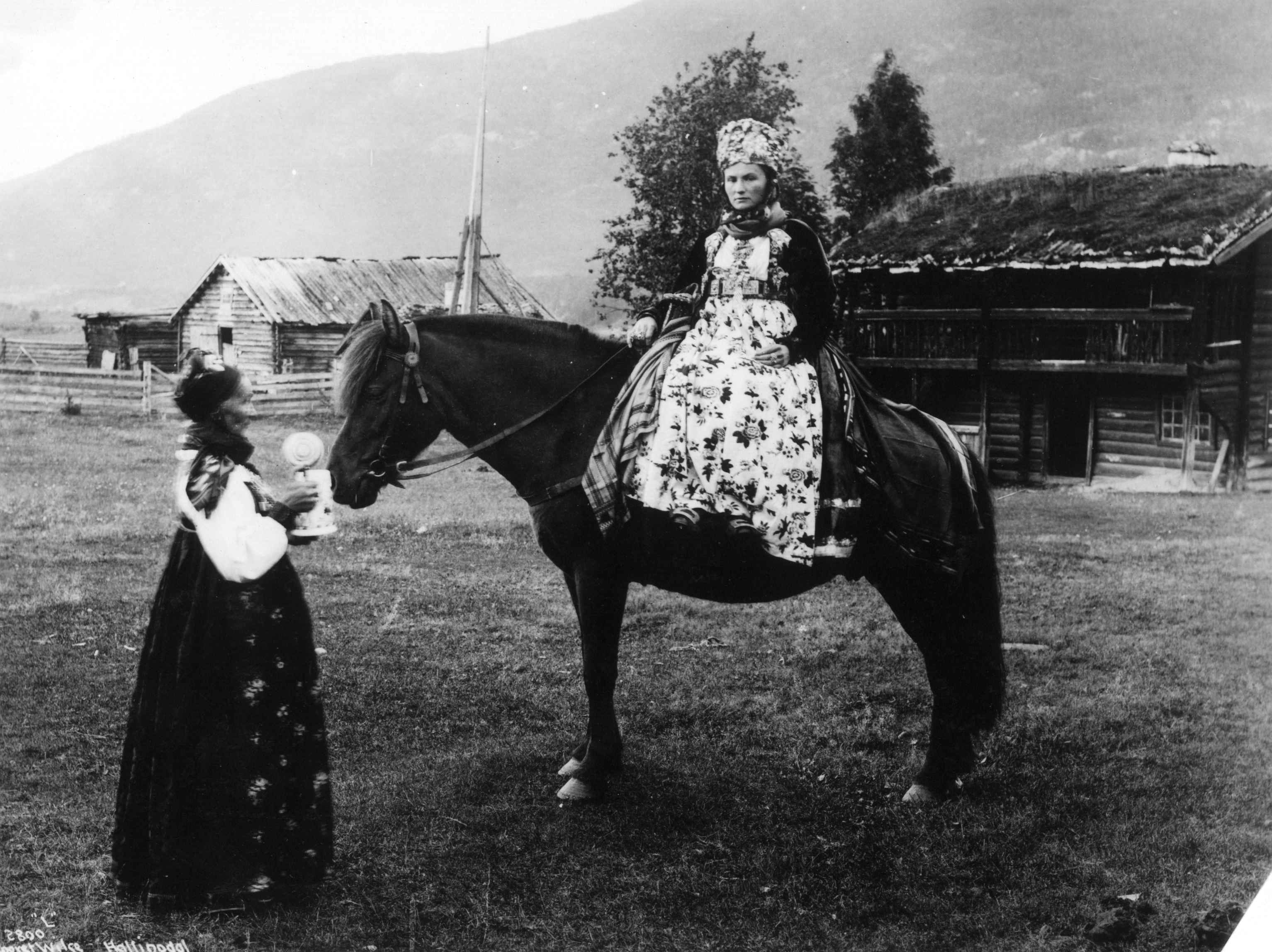brud buskerud 1800-tallet