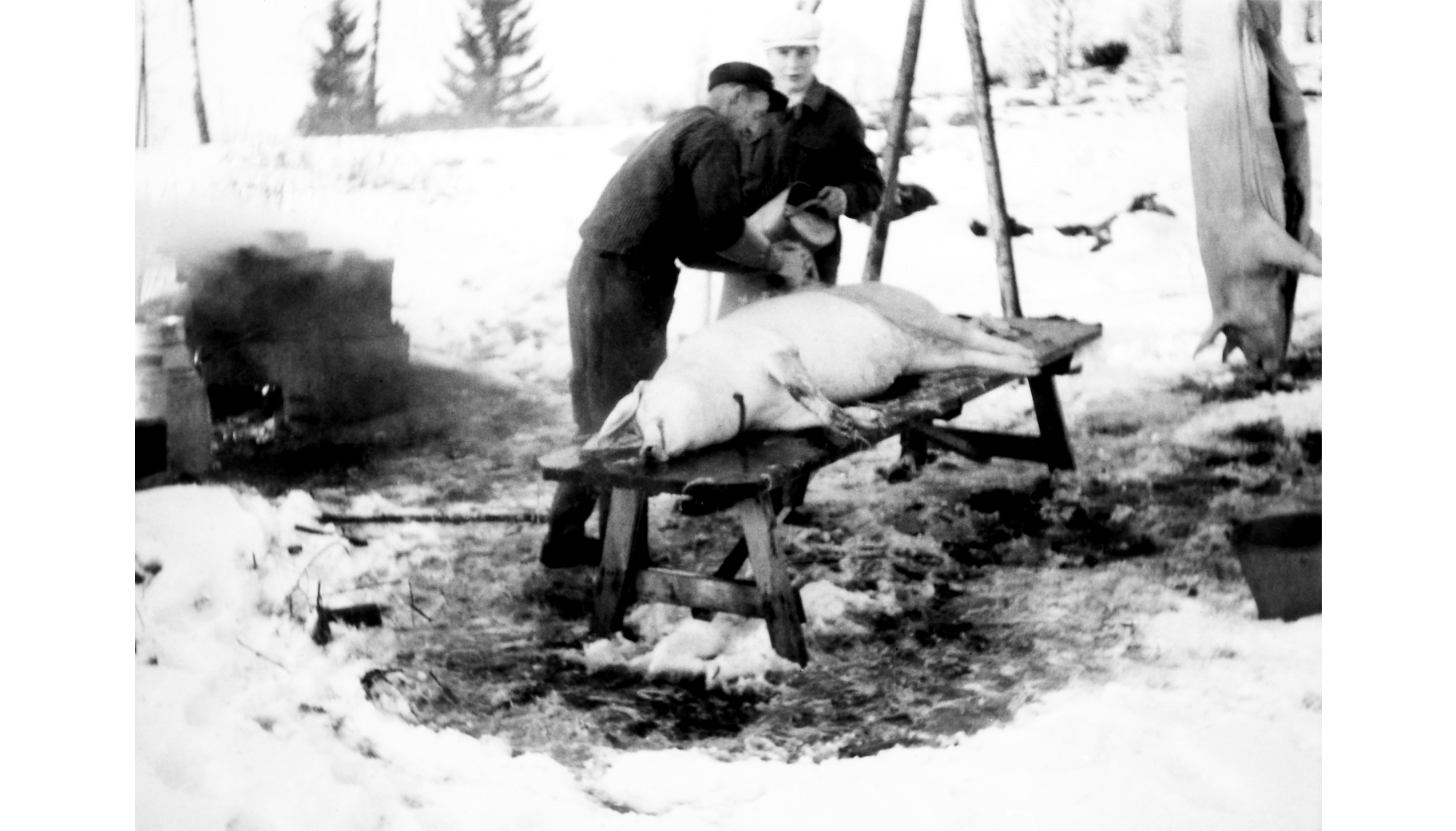 Juleslakt i Grandal