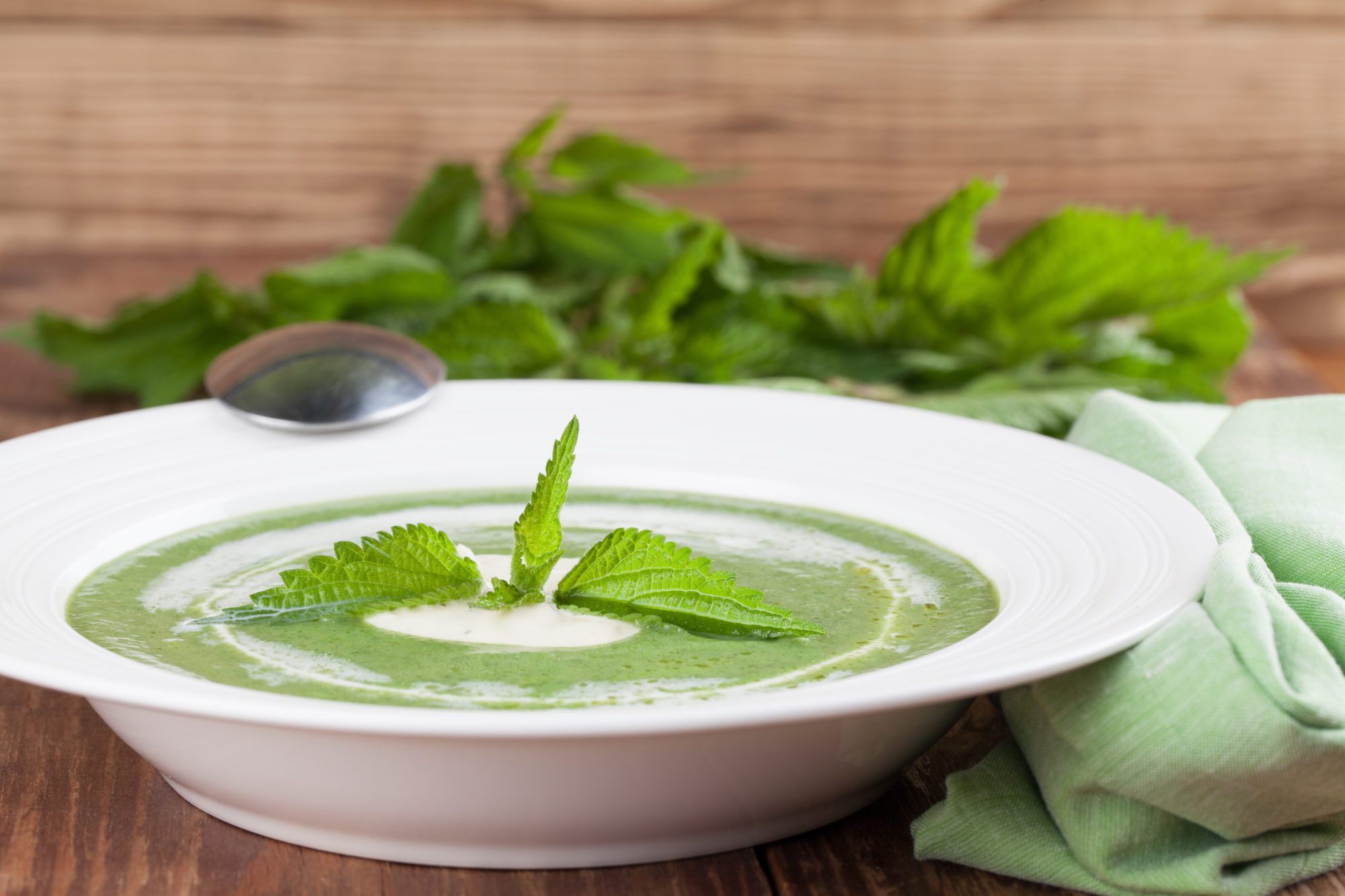 shutterstock_171417098 Neslesuppe
