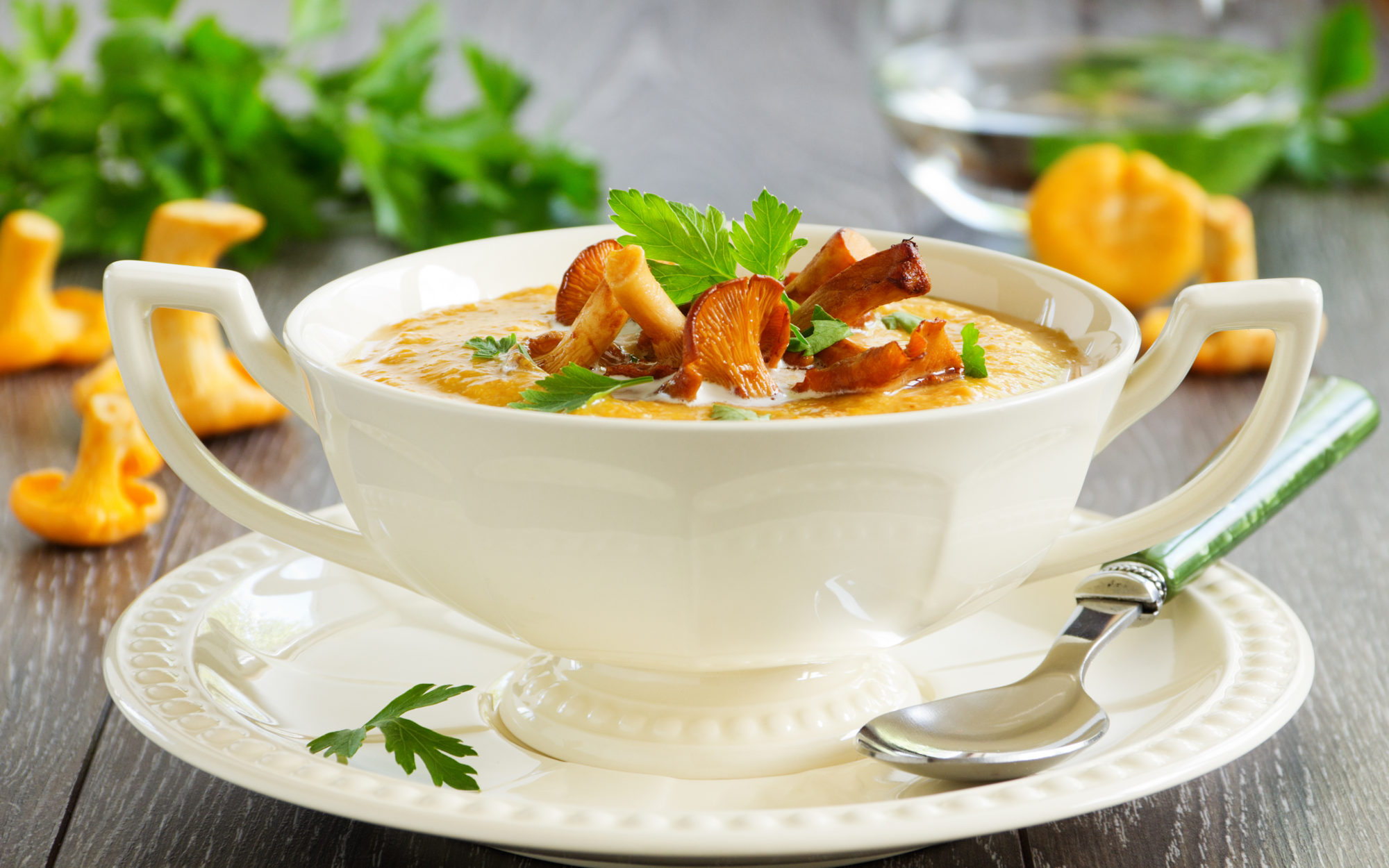 kantarellsuppe i skål
