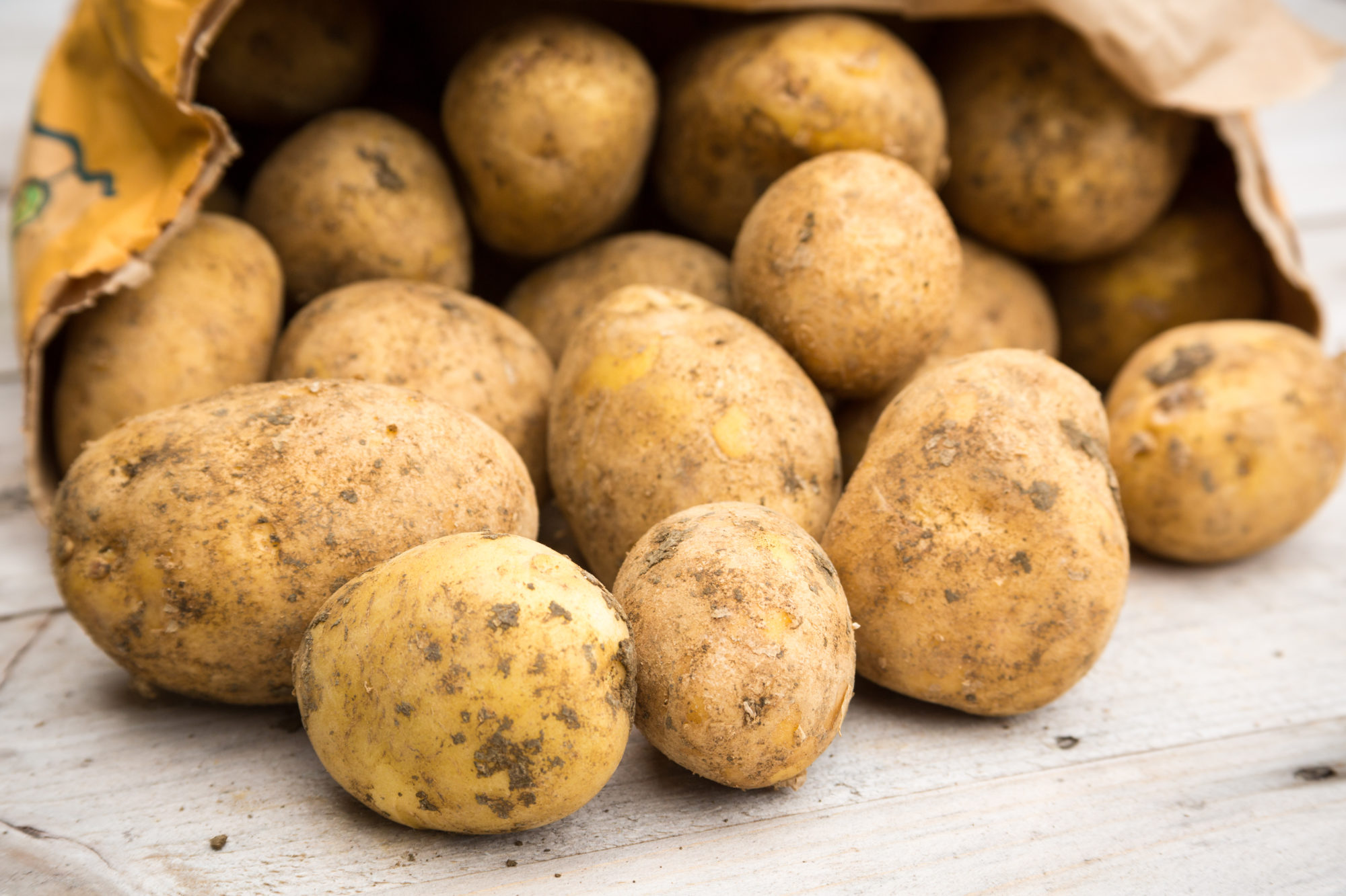 shutterstock_319053536 Poteter