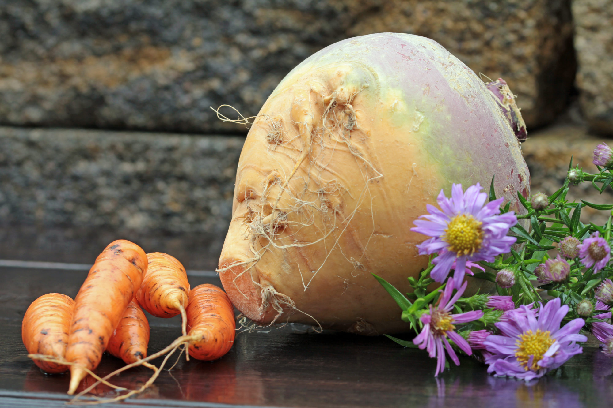 shutterstock_328428800 Kålrot gulrot