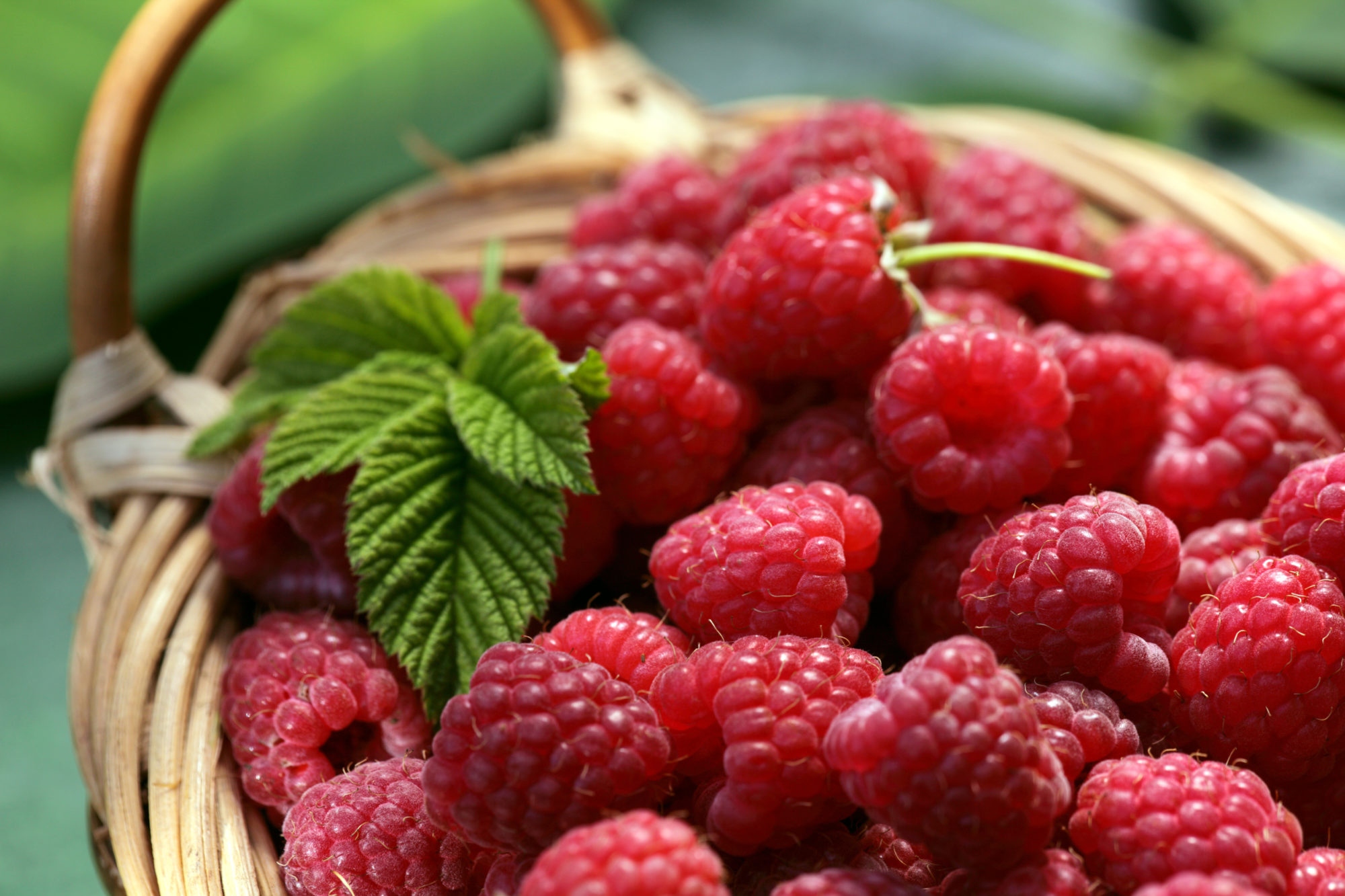 shutterstock_377922055 Bringebær