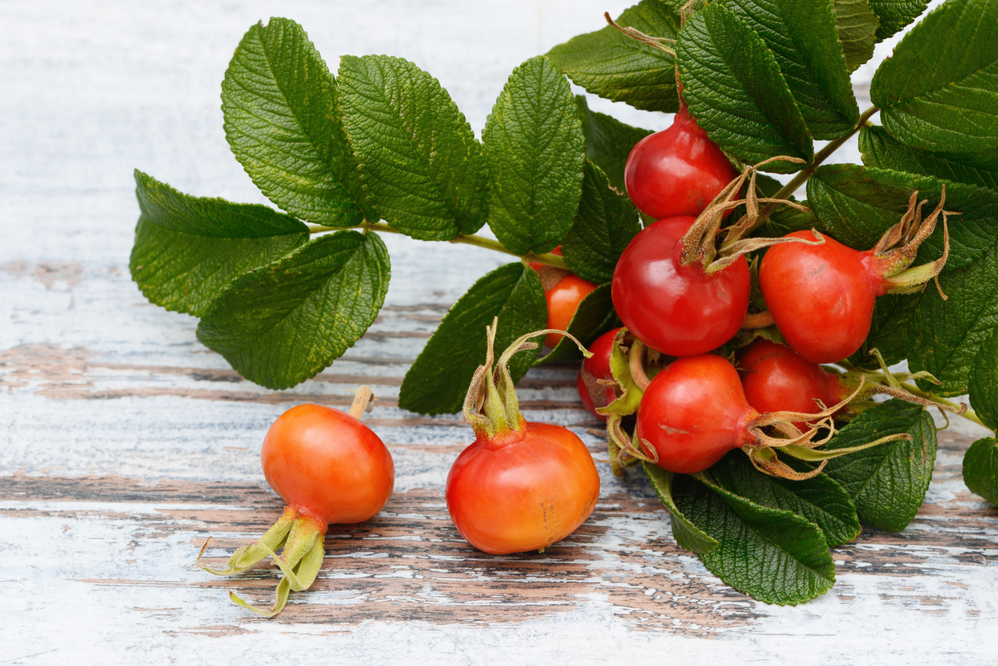 shutterstock_480044086 Nype