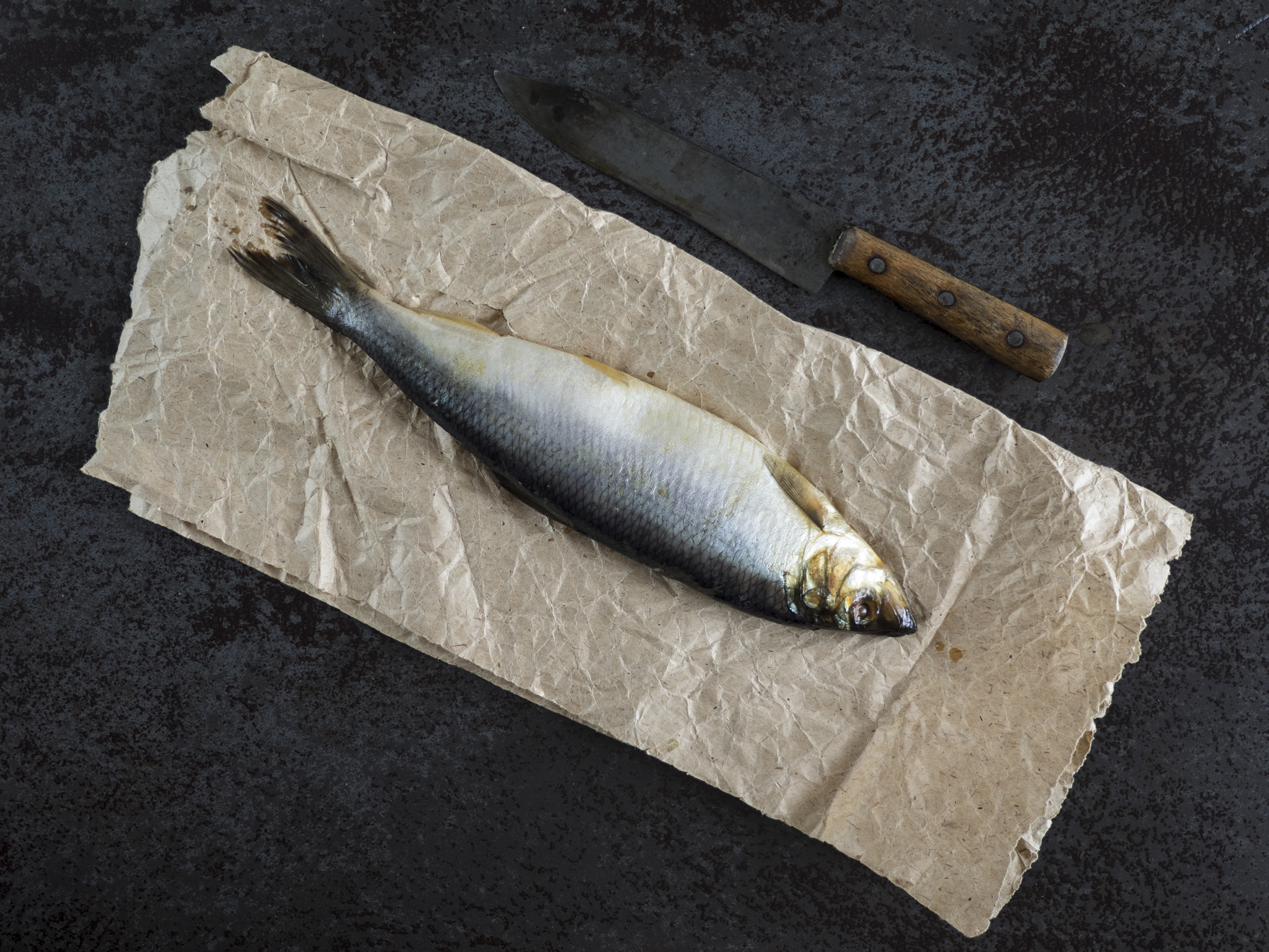 shutterstock_549830419 sild