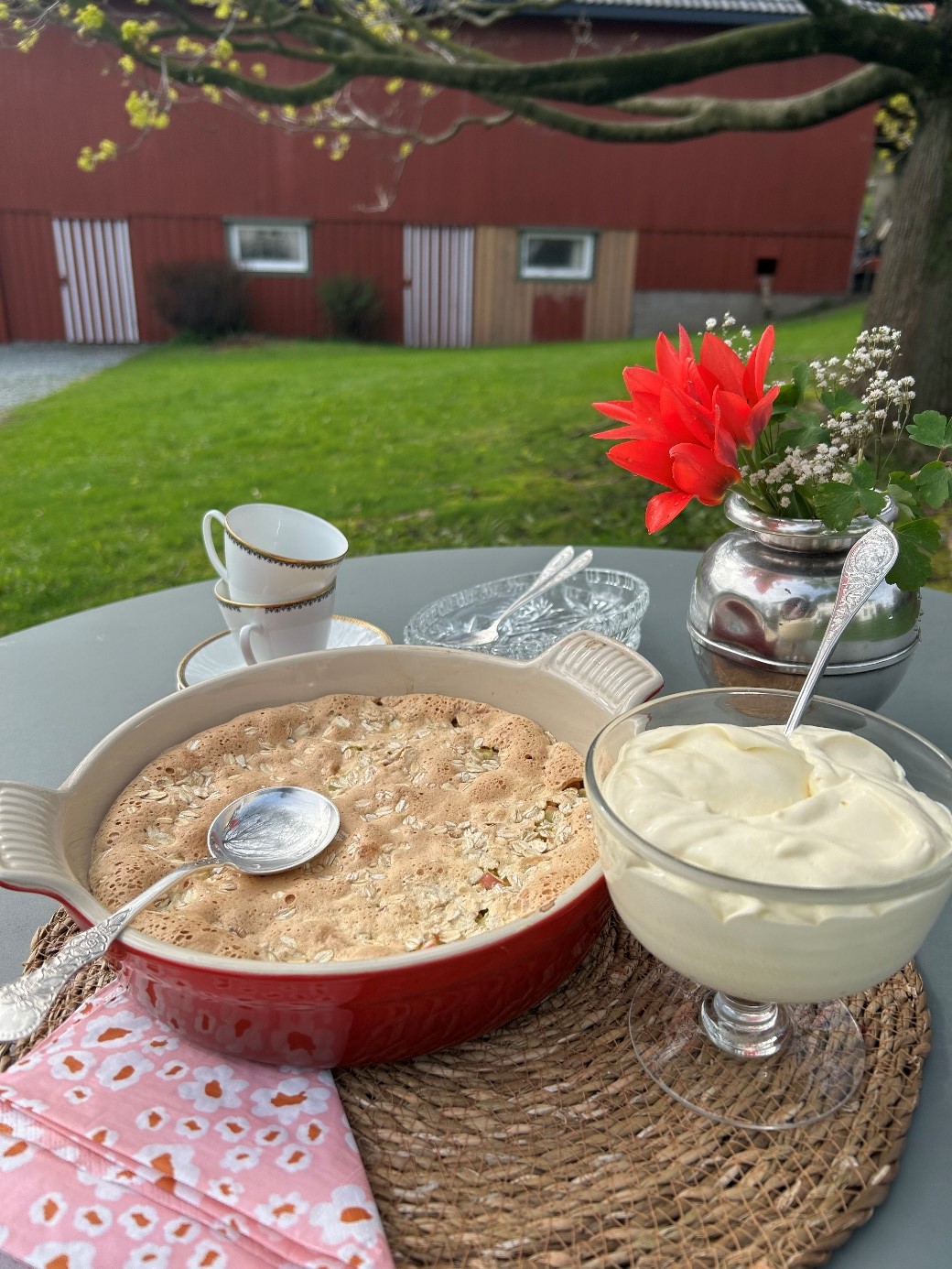 Rabarbra med marengs